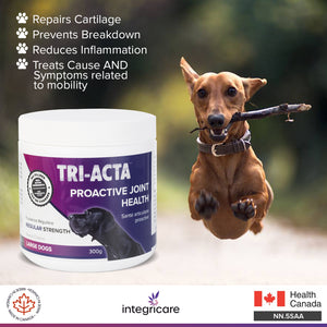 TRI-ACTA DOG/CAT JOINT FORMULA REGULAR STRENGTH 300G