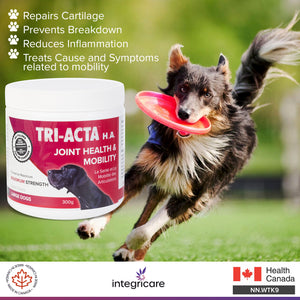 TRI-ACTA H.A DOG/CAT JOINT FORMULA MAXIMUM STRENGTH 300G