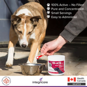 TRI-ACTA H.A DOG/CAT JOINT FORMULA MAXIMUM STRENGTH 300G