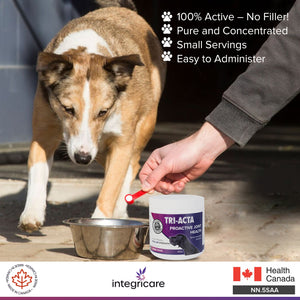 TRI-ACTA DOG/CAT JOINT FORMULA REGULAR STRENGTH 300G