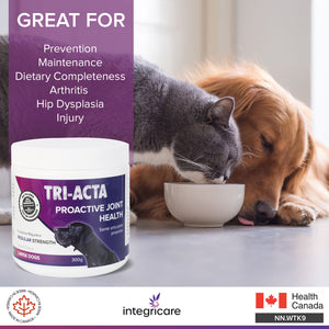 TRI-ACTA DOG/CAT JOINT FORMULA REGULAR STRENGTH 300G