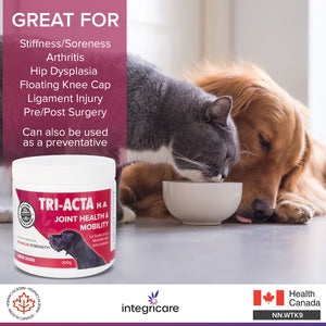 TRI-ACTA H.A DOG/CAT JOINT FORMULA MAXIMUM STRENGTH 300G