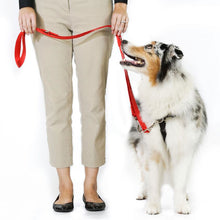 Load image into Gallery viewer, BLUE9 MULTI-FUNCTION LEASH PURPLE SMALL/MEDIUM 6&#39;X5/8&quot;
