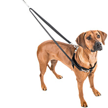 Load image into Gallery viewer, 2 HOUNDS DESIGN FREEDOM NO-PULL HARNESS/LEAD 1&quot; XXLG
