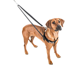 Load image into Gallery viewer, 2 HOUNDS DESIGN FREEDOM NO-PULL HARNESS/LEAD 1&quot; XLG
