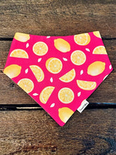 Load image into Gallery viewer, COCONUT COLLARS BANDANA XLG

