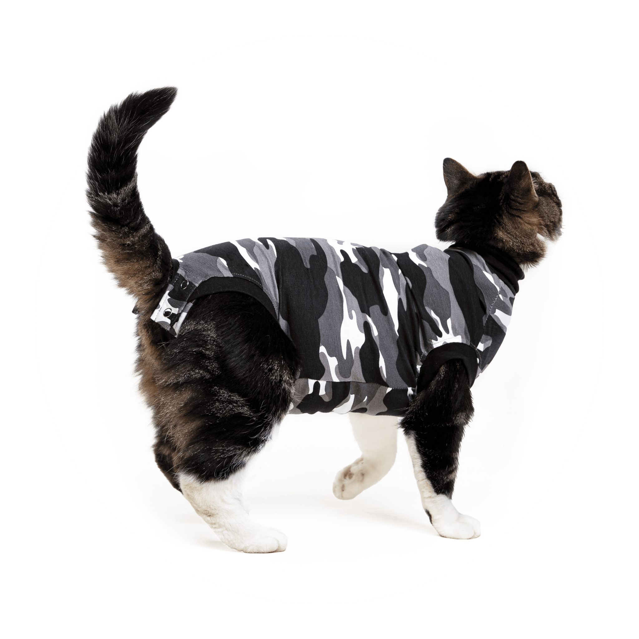Recovery Suit® Cat - Modern Cat