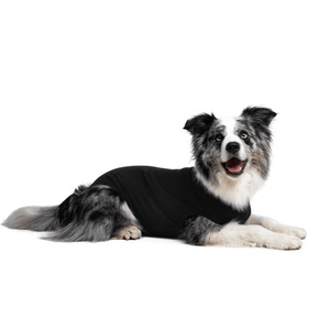 SUITICAL RECOVERY SUIT DOG BLACK MED