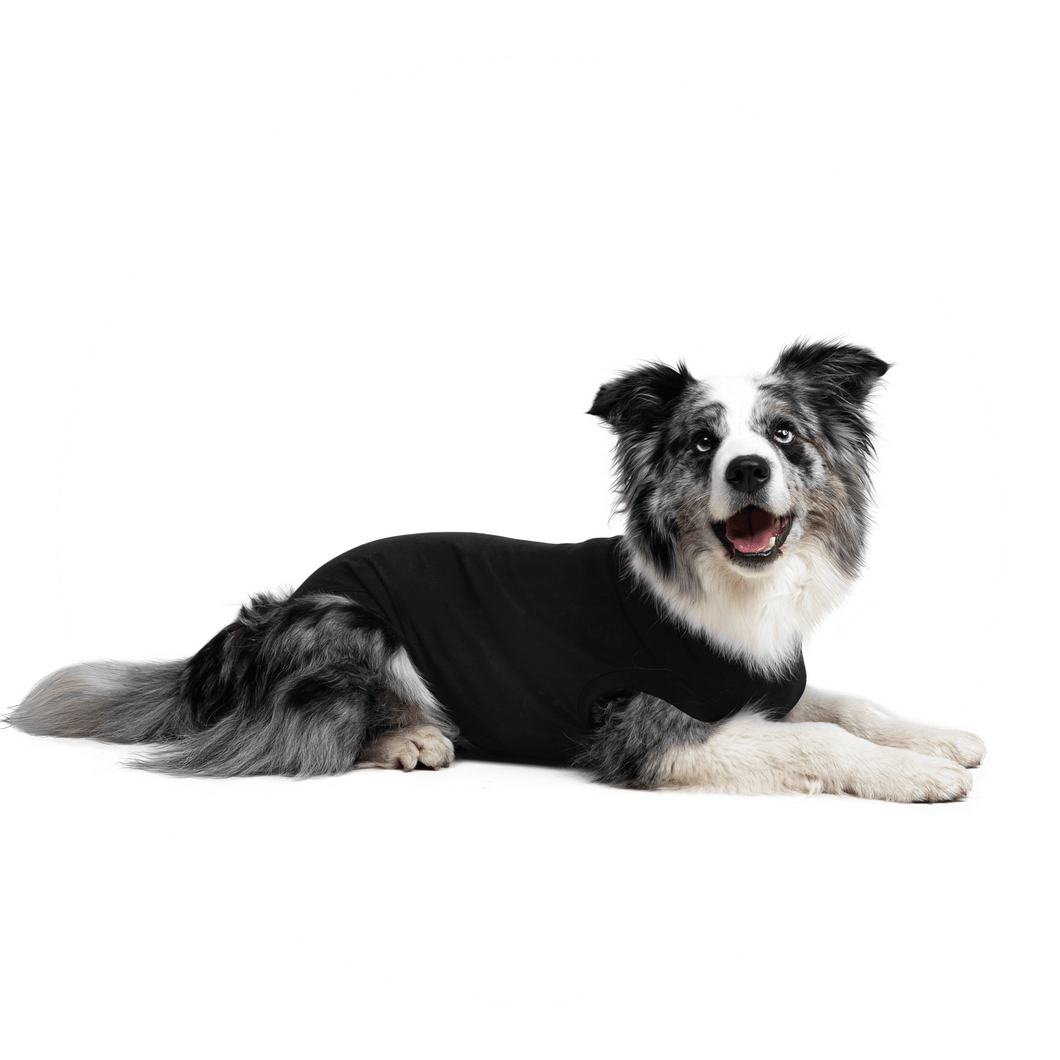 SUITICAL RECOVERY SUIT DOG BLACK SM +