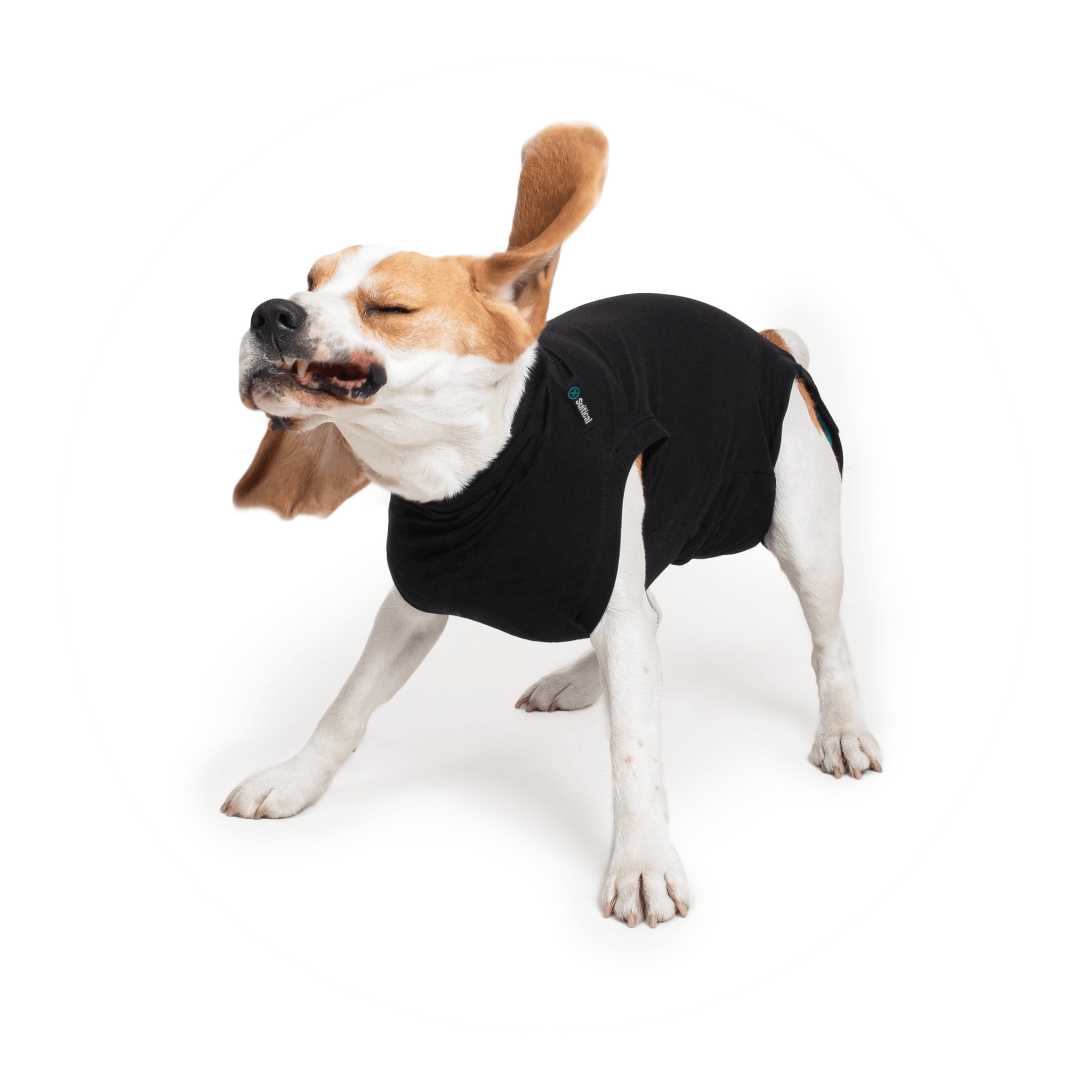 SUITICAL RECOVERY SUIT DOG BLACK MED