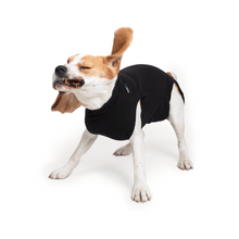 Load image into Gallery viewer, SUITICAL RECOVERY SUIT DOG BLACK LG
