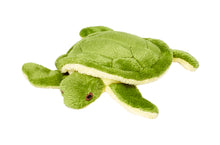Load image into Gallery viewer, FLUFF &amp; TUFF SHELLY TURTLE 4&quot;
