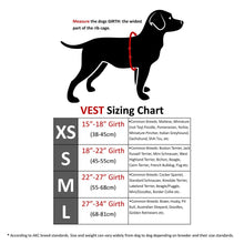 Load image into Gallery viewer, COOLER DOG COOLING VEST+COLLAR GREY EXTRA SMALL
