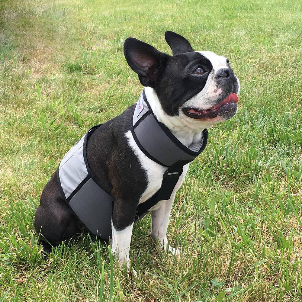 COOLER DOG COOLING VEST+COLLAR GREY SMALL