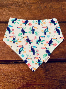 COCONUT COLLARS BANDANA MED