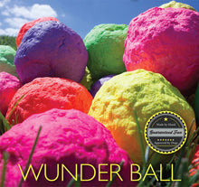 Load image into Gallery viewer, WUNDERBALL DOG BALL SM
