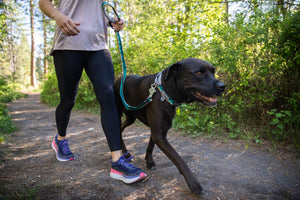 RUFFWEAR WEB REACTION COLLAR 17"-20"