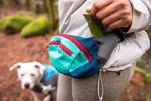 Load image into Gallery viewer, RUFFWEAR HOME TRAIL HIP PACK
