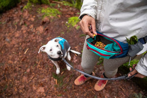 RUFFWEAR HOME TRAIL HIP PACK