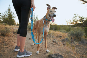 RUFFWEAR WEB REACTION COLLAR 11"-14"
