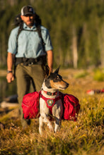 Load image into Gallery viewer, RUFFWEAR PALISADES PACK SM
