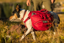 Load image into Gallery viewer, RUFFWEAR PALISADES PACK SM
