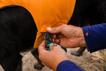 Load image into Gallery viewer, RUFFWEAR FLOAT COAT XSM
