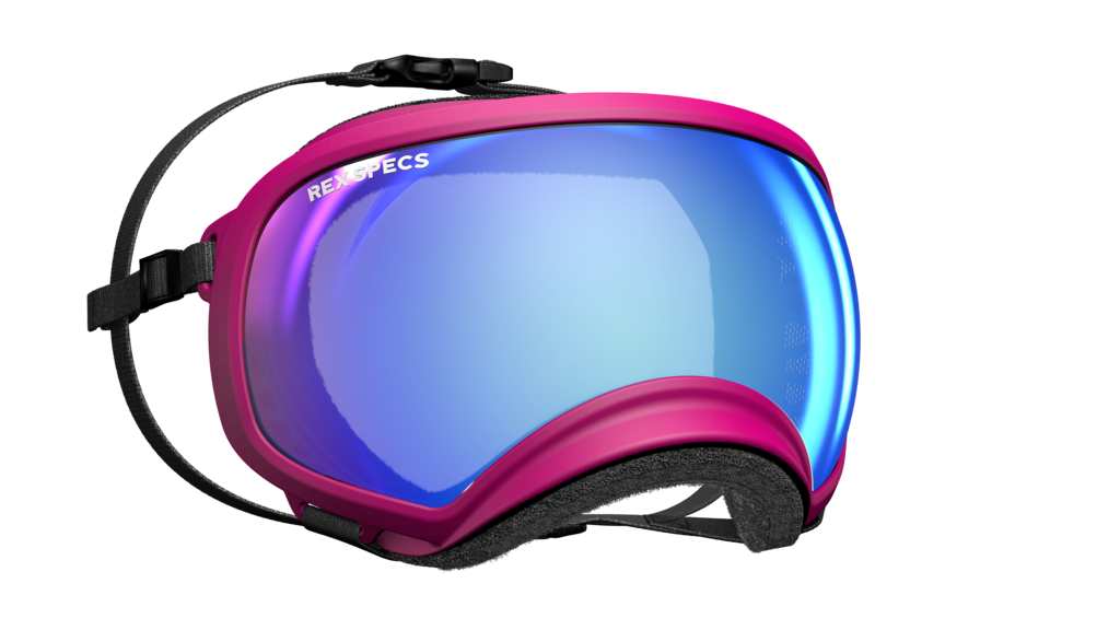 REX SPECS YAZBERRY FRAME W/CLEAR & BLUE MIRROR LENSES EXTRA LARGE