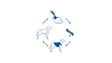 Load image into Gallery viewer, GF PET ELASTOFIT ICE VEST XLG
