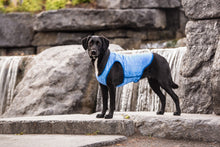 Load image into Gallery viewer, GF PET ELASTOFIT ICE VEST XLG
