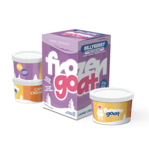 BIG COUNTRY RAW FROZEN GOAT BILLYBERRY 3X100G