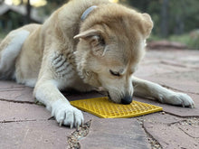Load image into Gallery viewer, SODAPUP E-MAT HONEYCOMB YELLOW 8X8&quot;
