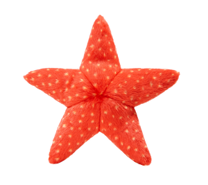 FLUFF & TUFF ZIGGY STARFISH 12"